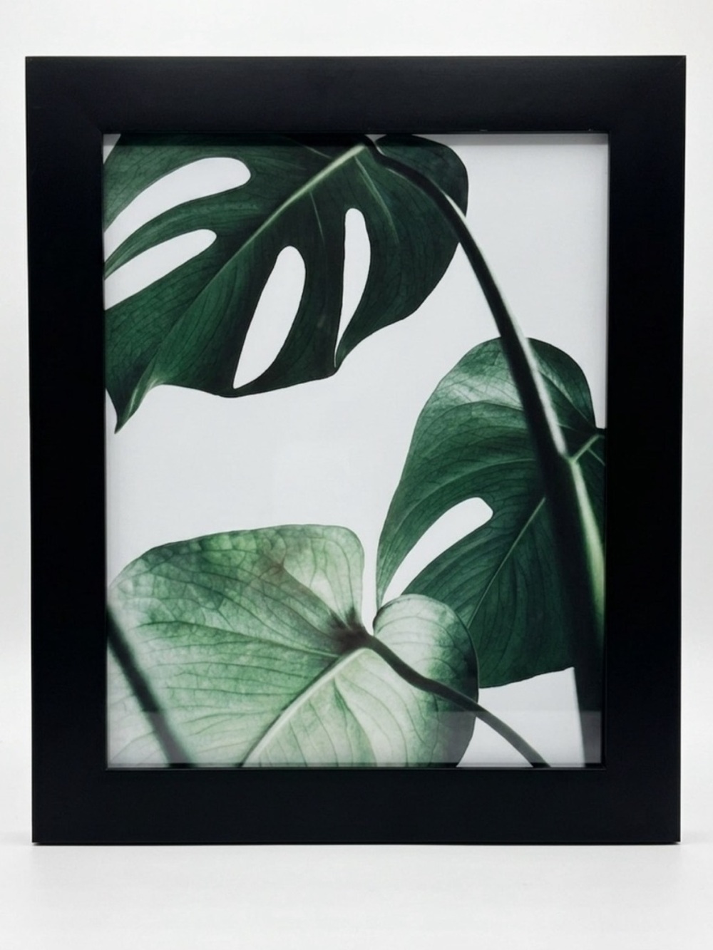 Monstera Giclée Print Wall Art Custom Printed & Threshold Black Gallery Frame